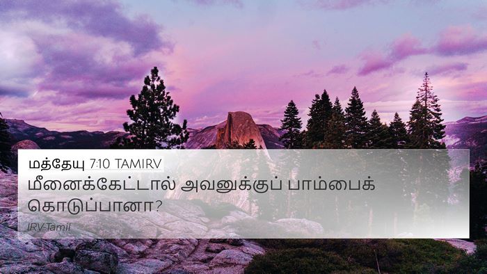 மத்தேயு 7:10 TAMIRV 4K Wallpaper - மீனைக்கேட்டால் - 4K Wallpaper Bible Verse