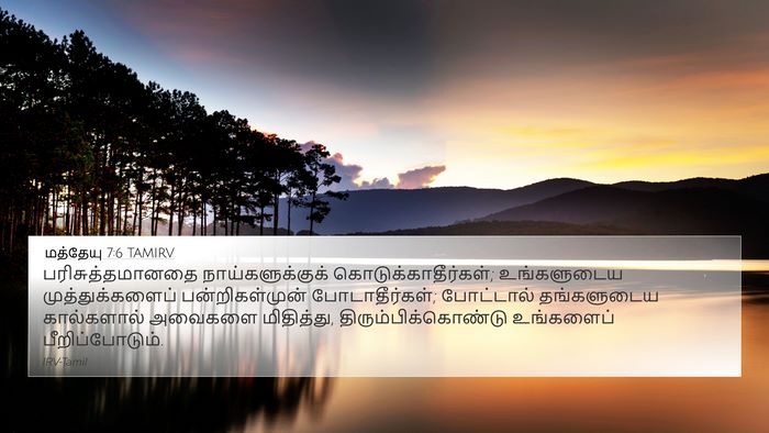 மத்தேயு 7:6 TAMIRV Bible Verse Image