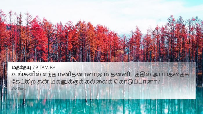 மத்தேயு 7:9 TAMIRV Bible Verse Image