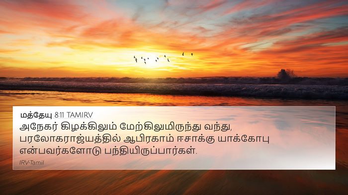 மத்தேயு 8:11 TAMIRV Bible Verse Image