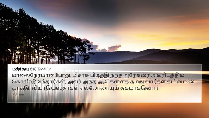 மத்தேயு 8:16 TAMIRV Bible Verse Image