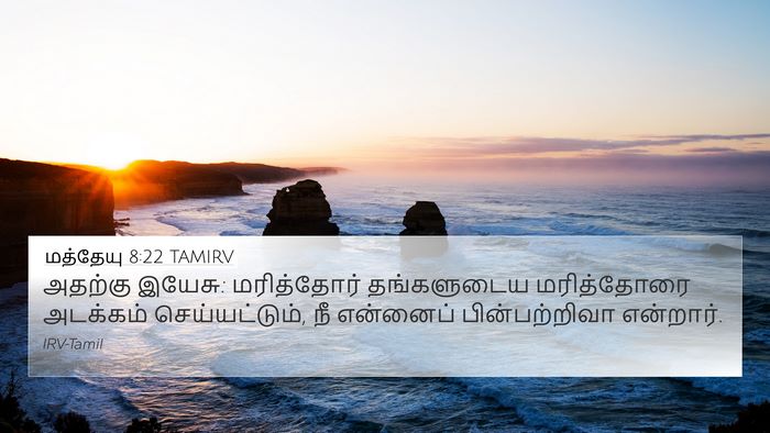 மத்தேயு 8:22 TAMIRV Bible Verse Image