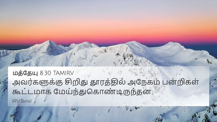 மத்தேயு 8:30 TAMIRV 4K Wallpaper - அவர்களுக்கு - 4K Wallpaper Bible Verse