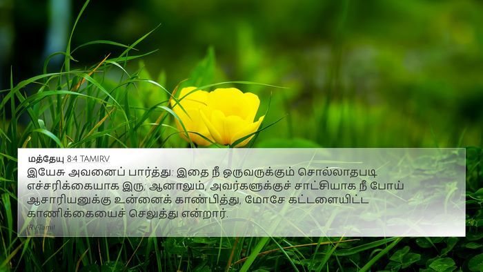 மத்தேயு 8:4 TAMIRV Bible Verse Image