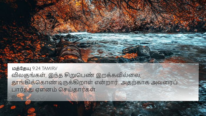 மத்தேயு 9:24 TAMIRV 4K Wallpaper - விலகுங்கள், இந்த - 4K Wallpaper Bible Verse