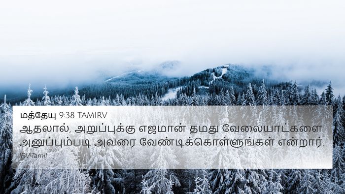 மத்தேயு 9:38 TAMIRV 4K Wallpaper - ஆதலால், - 4K Wallpaper Bible Verse