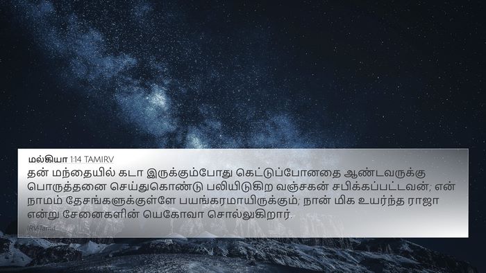 மல்கியா 1:14 TAMIRV Bible Verse Image