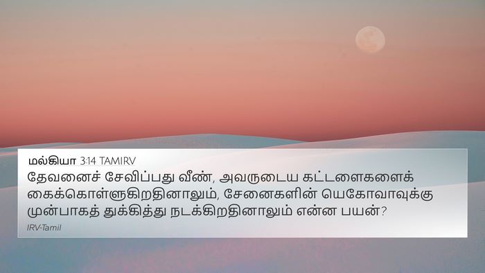 மல்கியா 3:14 TAMIRV Bible Verse Image