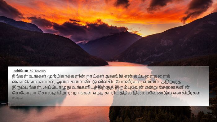 மல்கியா 3:7 TAMIRV Bible Verse Image