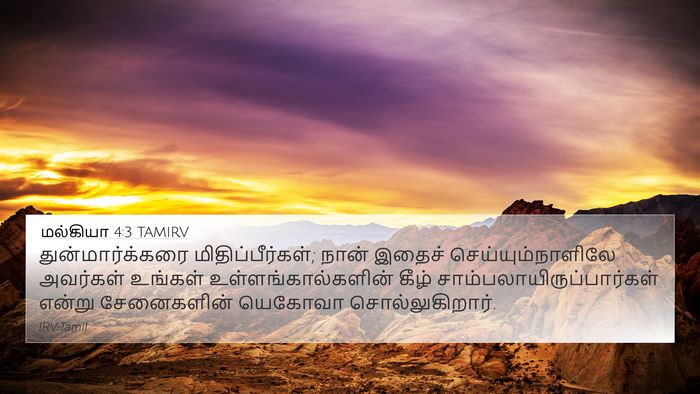 மல்கியா 4:3 TAMIRV Bible Verse Image