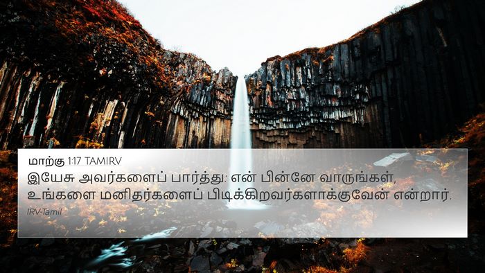 மாற்கு 1:17 TAMIRV Bible Verse Image