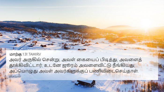 மாற்கு 1:31 TAMIRV Bible Verse Image