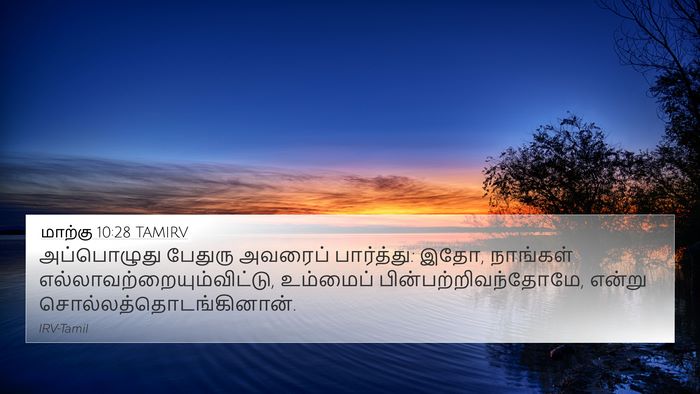 மாற்கு 10:28 TAMIRV Bible Verse Image