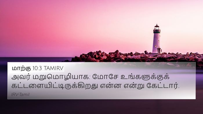 மாற்கு 10:3 TAMIRV 4K Wallpaper - அவர் மறுமொழியாக: - 4K Wallpaper Bible Verse