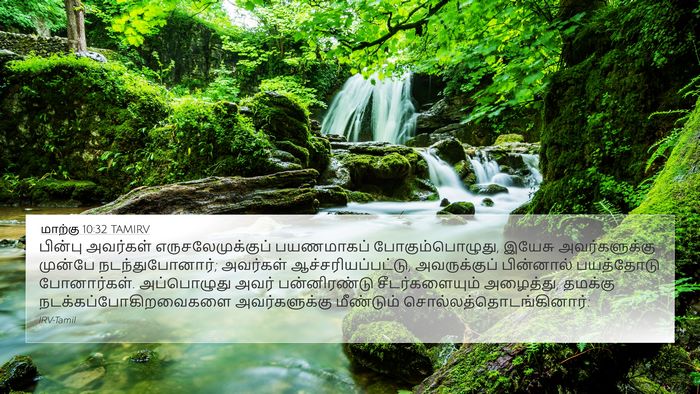 மாற்கு 10:32 TAMIRV Bible Verse Image