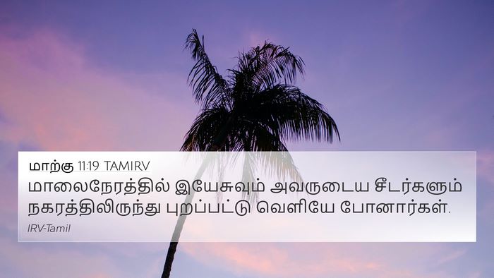 மாற்கு 11:19 TAMIRV 4K Wallpaper - மாலைநேரத்தில் - 4K Wallpaper Bible Verse
