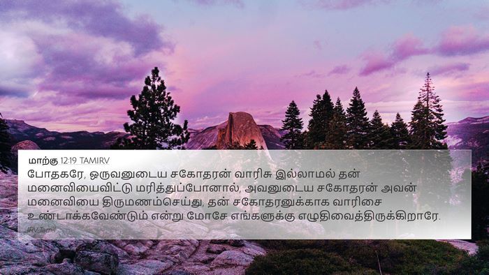 மாற்கு 12:19 TAMIRV 4K Wallpaper - போதகரே, ஒருவனுடைய - 4K Wallpaper Bible Verse