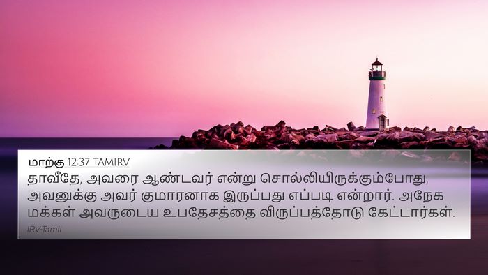 மாற்கு 12:37 TAMIRV 4K Wallpaper - தாவீதே, அவரை - 4K Wallpaper Bible Verse
