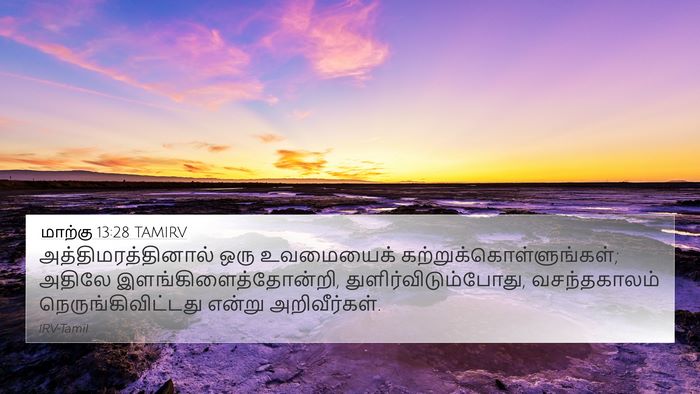 மாற்கு 13:28 TAMIRV Bible Verse Image