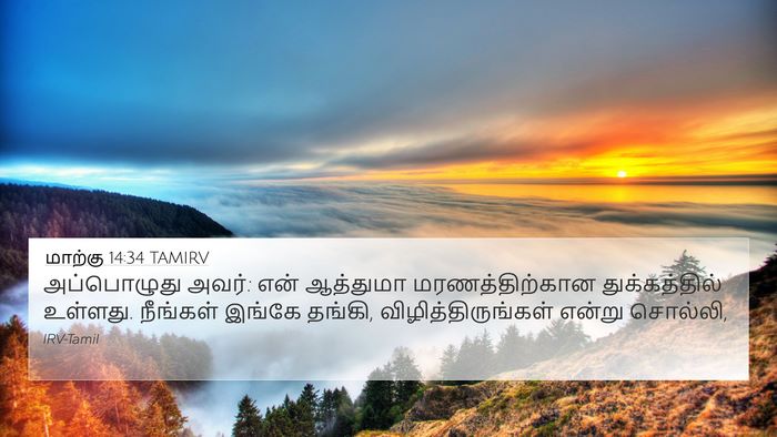 மாற்கு 14:34 TAMIRV 4K Wallpaper - அப்பொழுது அவர்: - 4K Wallpaper Bible Verse