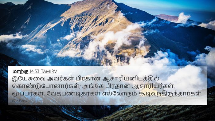 மாற்கு 14:53 TAMIRV Bible Verse Image