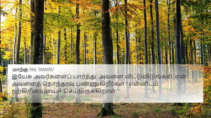 மாற்கு 14:6 TAMIRV Bible Verse Image