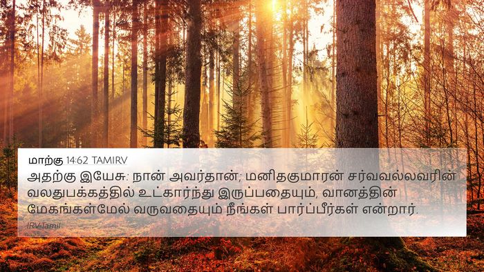 மாற்கு 14:62 TAMIRV Bible Verse Image