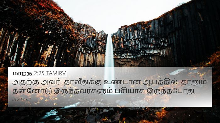 மாற்கு 2:25 TAMIRV Bible Verse Image