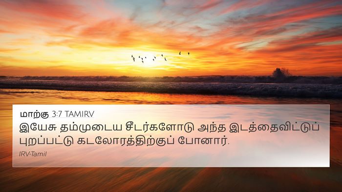 மாற்கு 3:7 TAMIRV Bible Verse Image