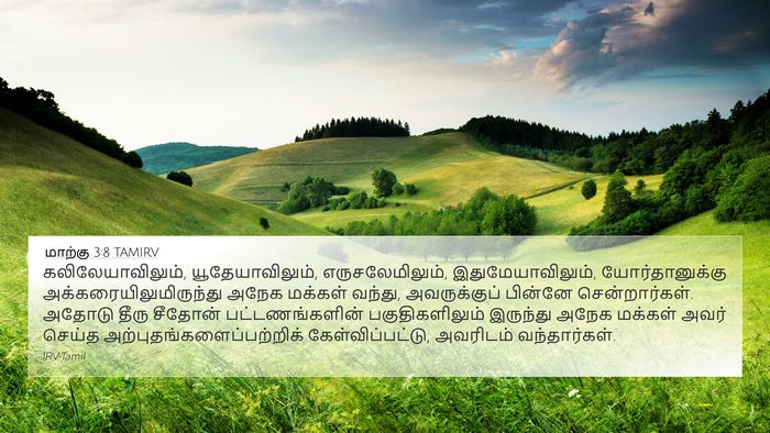 மாற்கு 3:8 TAMIRV Bible Verse Image
