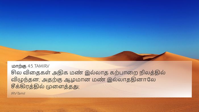மாற்கு 4:5 TAMIRV 4K Wallpaper - சில விதைகள் அதிக - 4K Wallpaper Bible Verse