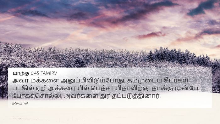மாற்கு 6:45 TAMIRV Bible Verse Image