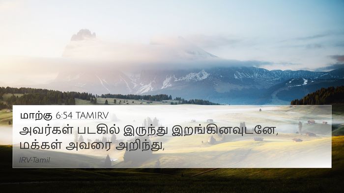 மாற்கு 6:54 TAMIRV Bible Verse Image