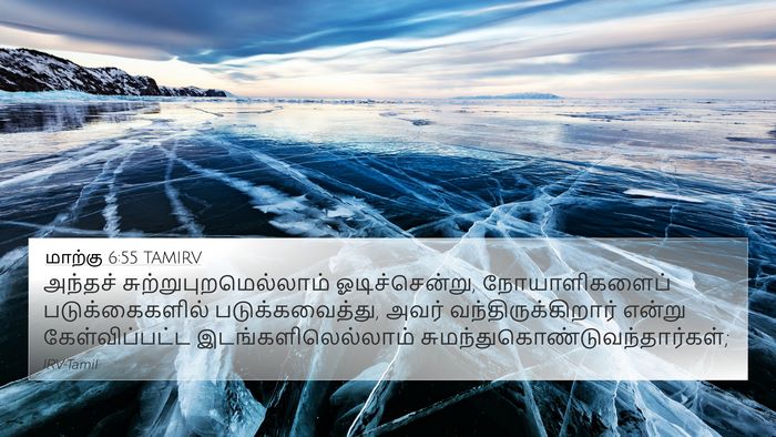 மாற்கு 6:55 TAMIRV Bible Verse Image