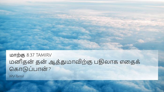 மாற்கு 8:37 TAMIRV 4K Wallpaper - மனிதன் தன் - 4K Wallpaper Bible Verse