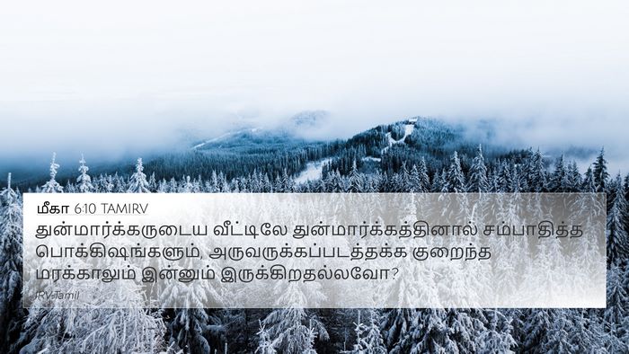 மீகா 6:10 TAMIRV Bible Verse Image