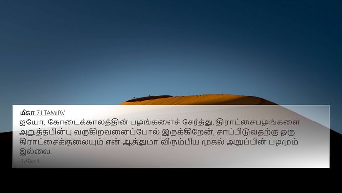 மீகா 7:1 TAMIRV Bible Verse Image