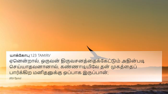 யாக்கோபு 1:23 TAMIRV Bible Verse Image