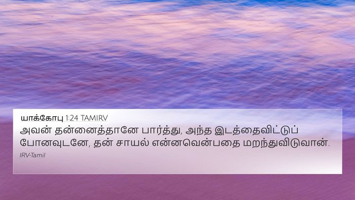 யாக்கோபு 1:24 TAMIRV 4K Wallpaper - அவன் தன்னைத்தானே - 4K Wallpaper Bible Verse
