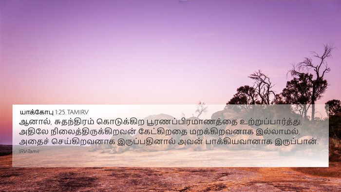 யாக்கோபு 1:25 TAMIRV Bible Verse Image