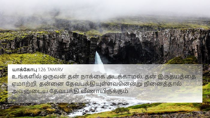 யாக்கோபு 1:26 TAMIRV Bible Verse Image