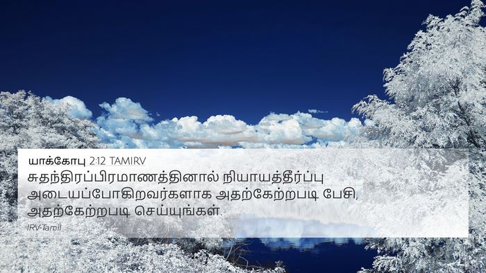 யாக்கோபு 2:12 TAMIRV Bible Verse Image