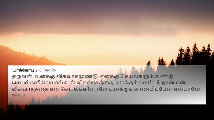 யாக்கோபு 2:18 TAMIRV Bible Verse Image
