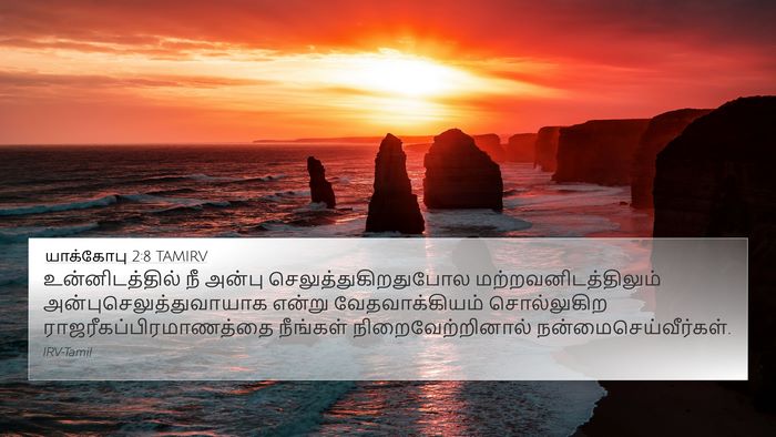 யாக்கோபு 2:8 TAMIRV Bible Verse Image