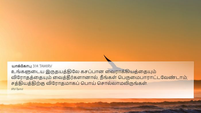 யாக்கோபு 3:14 TAMIRV Bible Verse Image
