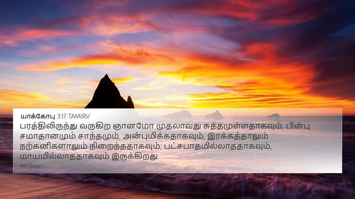 யாக்கோபு 3:17 TAMIRV Bible Verse Image