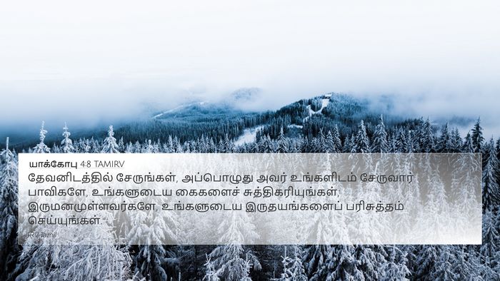யாக்கோபு 4:8 TAMIRV Bible Verse Image