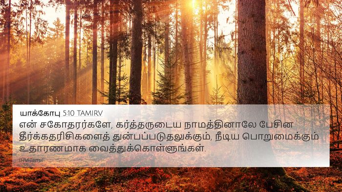 யாக்கோபு 5:10 TAMIRV Bible Verse Image