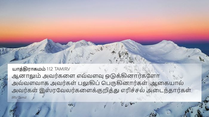 யாத்திராகமம் 1:12 TAMIRV Bible Verse Image