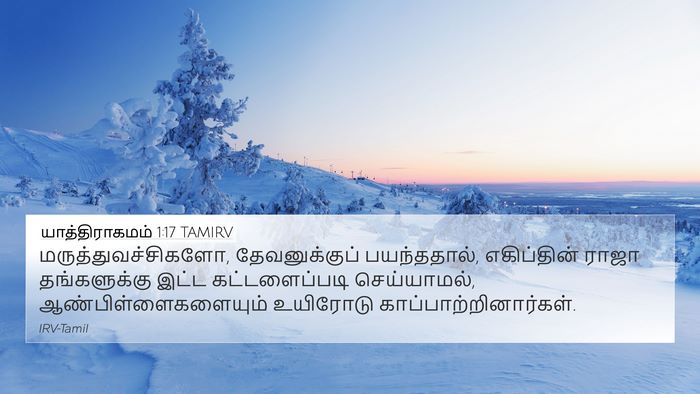 யாத்திராகமம் 1:17 TAMIRV Bible Verse Image